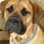Al Hinton's profile image