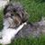 Polly McNulty's profile image