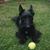 Julie Gliessner's profile image