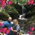 Tiffany Hibbard's profile image