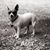 Missy Miles's profile image