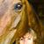 Darlene Petrie's profile image