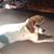 Trish Balaam's profile image