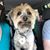 Jesse Galu Duvall's profile image