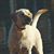 Julianne Salzman's profile image