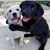 Tina Gray's profile image