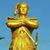 Khaing Tun Oo's profile image