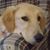 Terry N Tom Brown's profile image