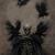 Alma Parra's profile image