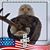 Paul K Bixler's profile image