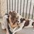 Holly Coble Rhodes's profile image