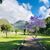 Amy Carter Studebaker's profile image