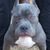 Everardo Andrade's profile image
