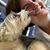 Judi Larson Vinch's profile image