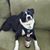 Lisa DeMoura's profile image