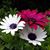 Ruth Evelyn Rivera Garcia's profile image