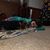 Shelby Peterson Mahoney's profile image