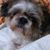 Nidia Elizabeth Garcia's profile image