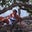 Colleen Schroer-Gavin's profile image