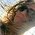 CyNthia Tiel's profile image