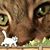 Melissa Schmidt's profile image