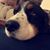 Jan Flynn's profile image