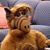 Rick Bannister's profile image