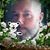 Skip Hampton's profile image