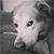 Doris Nilles's profile image