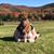 Michelle Eck Miller's profile image