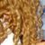 Shermin SaatSaz's profile image