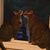 Beth Smith DeNio's profile image