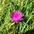 Joyce Adams's profile image
