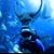 Nicolas Meigneux's profile image