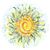 Nancy Cushing Sparacio's profile image