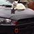 Evo X Lancer's profile image