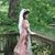 Patty Carreras's profile image