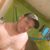 Benjamin Villanueva Matuz's profile image