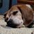 Michelle Walters's profile image