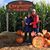 Cyndi Schweibold's profile image