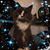 Laura Lanes's profile image