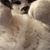 Ted Brindle's profile image