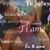 Vilma R Vera's profile image