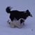Joan Cannon Rose's profile image