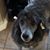 Melodie E's profile image