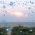 Ann E Cooper's profile image