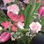 Carolyn Marie's profile image