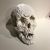 Jacklyn Feinblatt's profile image