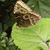 Brenda McNary's profile image