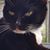 Cheryl Keith's profile image
